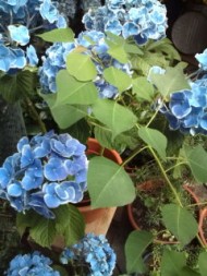 20090618140009.jpg
