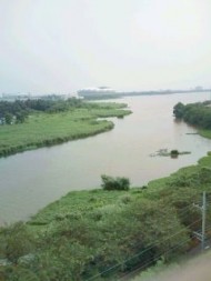 20090627161900.jpg