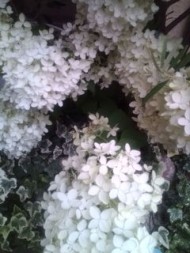 20090706143944.jpg