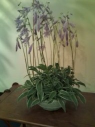 20090805125028.jpg