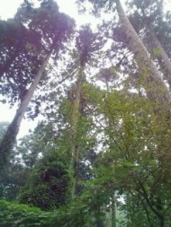 20090821134548.jpg