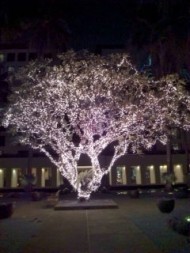 20100101205526.jpg