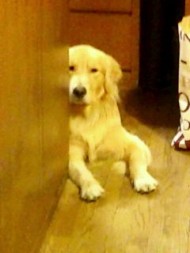 20100204173052.jpg