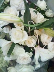 20100222145747.jpg