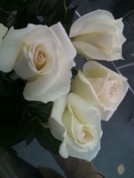 20100302134432.jpg