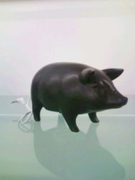 20100302134557.jpg