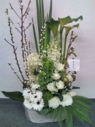 20100302135410.jpg