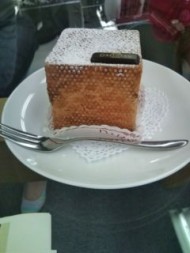 20100316161857.jpg