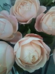 20100329162843.jpg