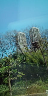 20100425115835.jpg