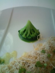 20100610125911.jpg