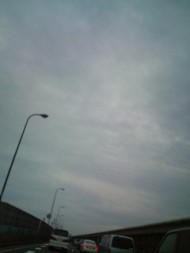 20100620165537.jpg