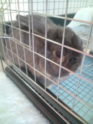 20100724163531.jpg