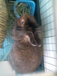 20100724163654.jpg