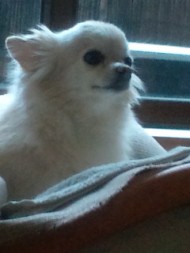 20100801130509.jpg