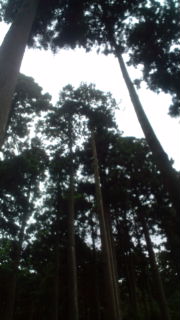 20100813133552.jpg