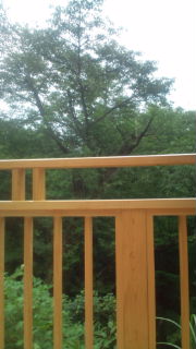 20100813144004.jpg