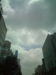 20100821112410.jpg