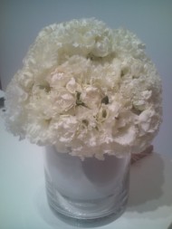 20100908152737.jpg