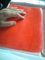 20100926162559.jpg