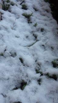 120124_093233.jpg