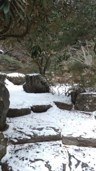 120129_115236.jpg